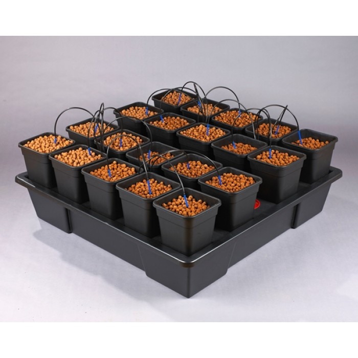 Wilma XXL 20 Pot - 6L (Collection Only)